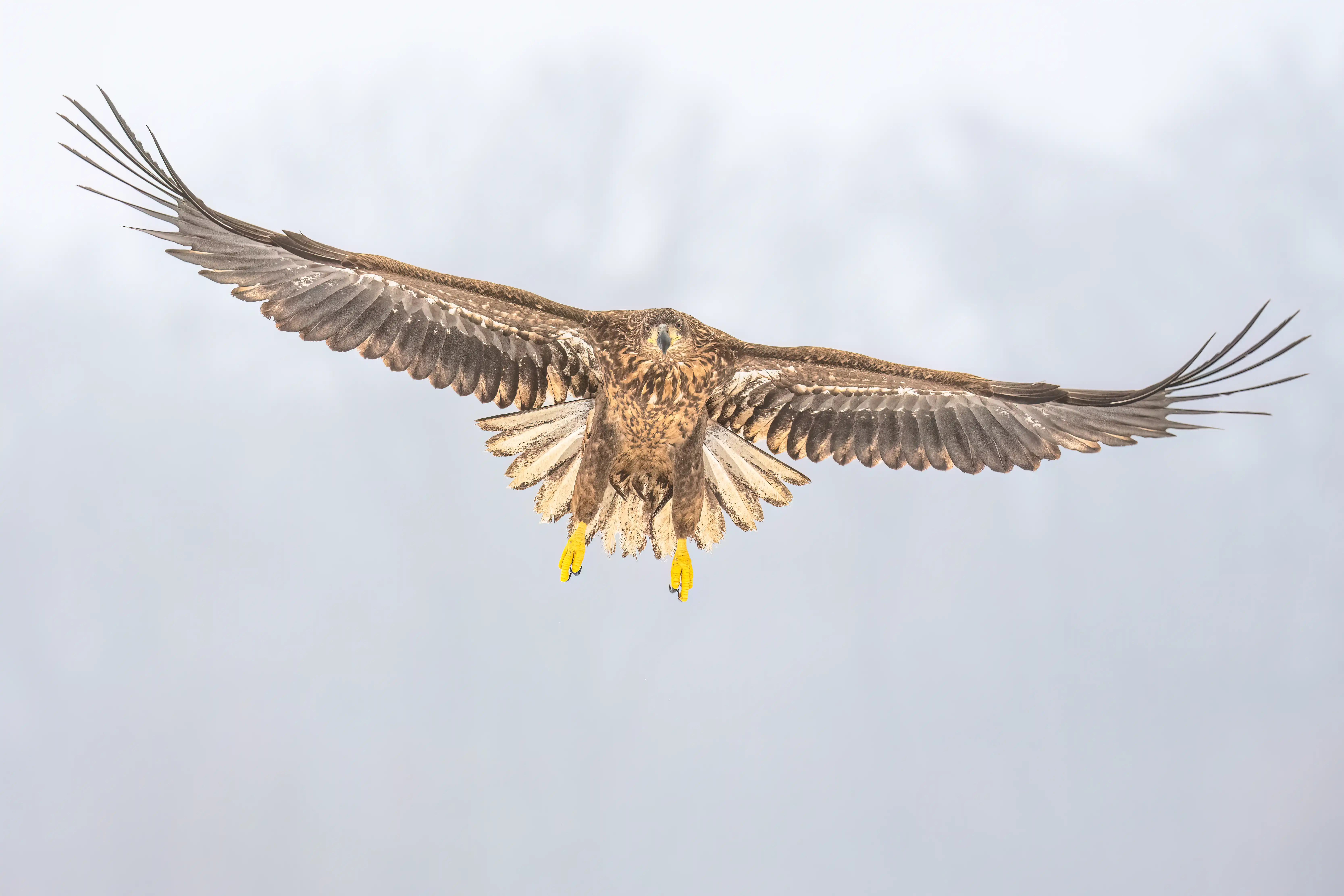 Warmia Elite Wildlife Photography gallery image 18